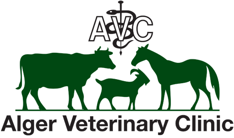 Alger Veterinary Clinic